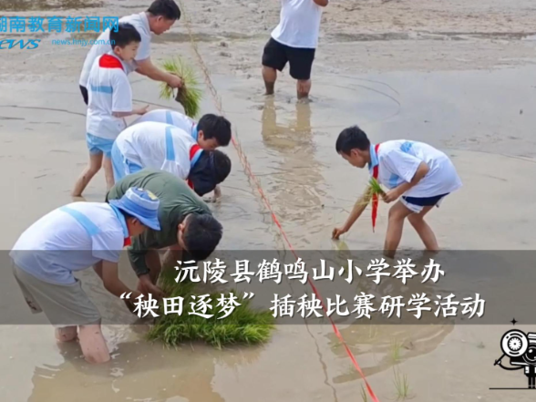 【沅陵站】鹤鸣山小学举办“秧田逐梦”插秧比赛研学活动
