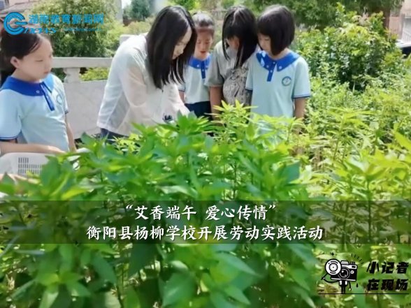 【衡阳县站】杨柳学校：开展“艾香端午 爱心传情”劳动实践活动