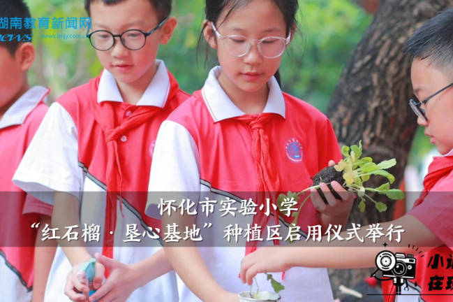 【怀化站】怀化市实验小学“红石榴·垦心基地”种植区启用仪式举行