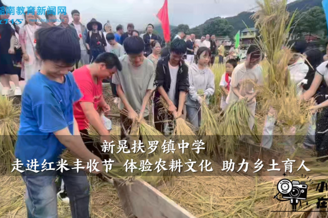 【新晃站】扶罗镇中学：走进红米丰收节 体验农耕文化 助力乡土育人