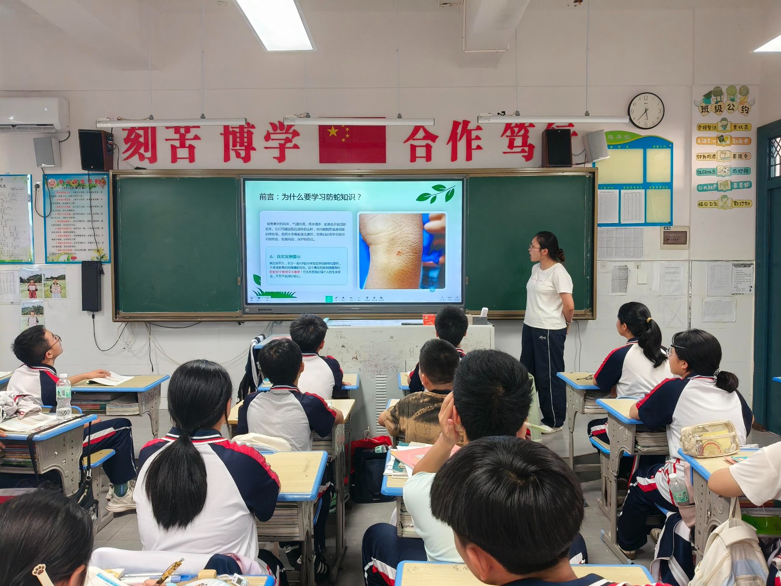 防蛇主题班会教育1.jpg
