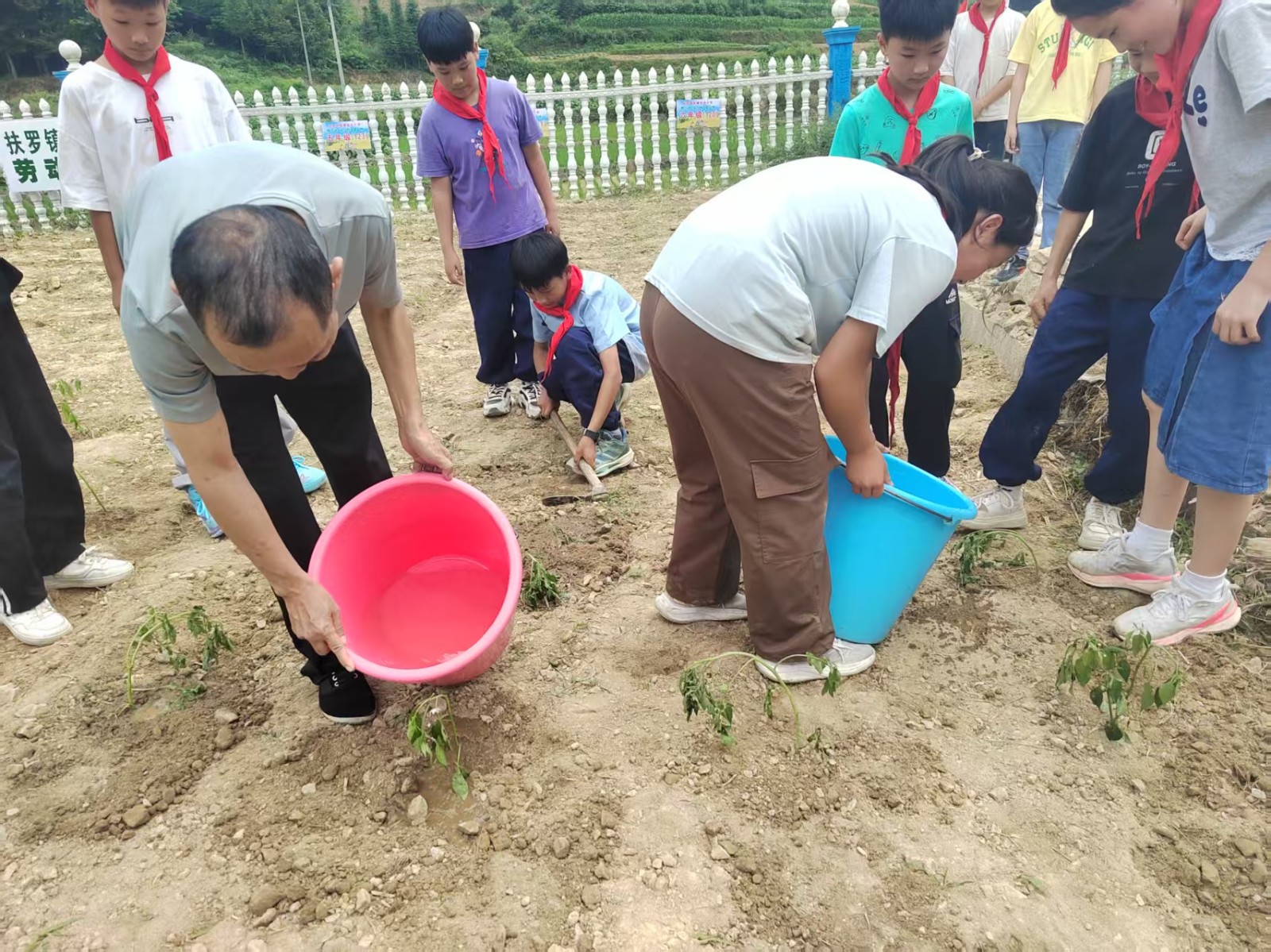 微信图片_20260605115419_259_1631.jpg