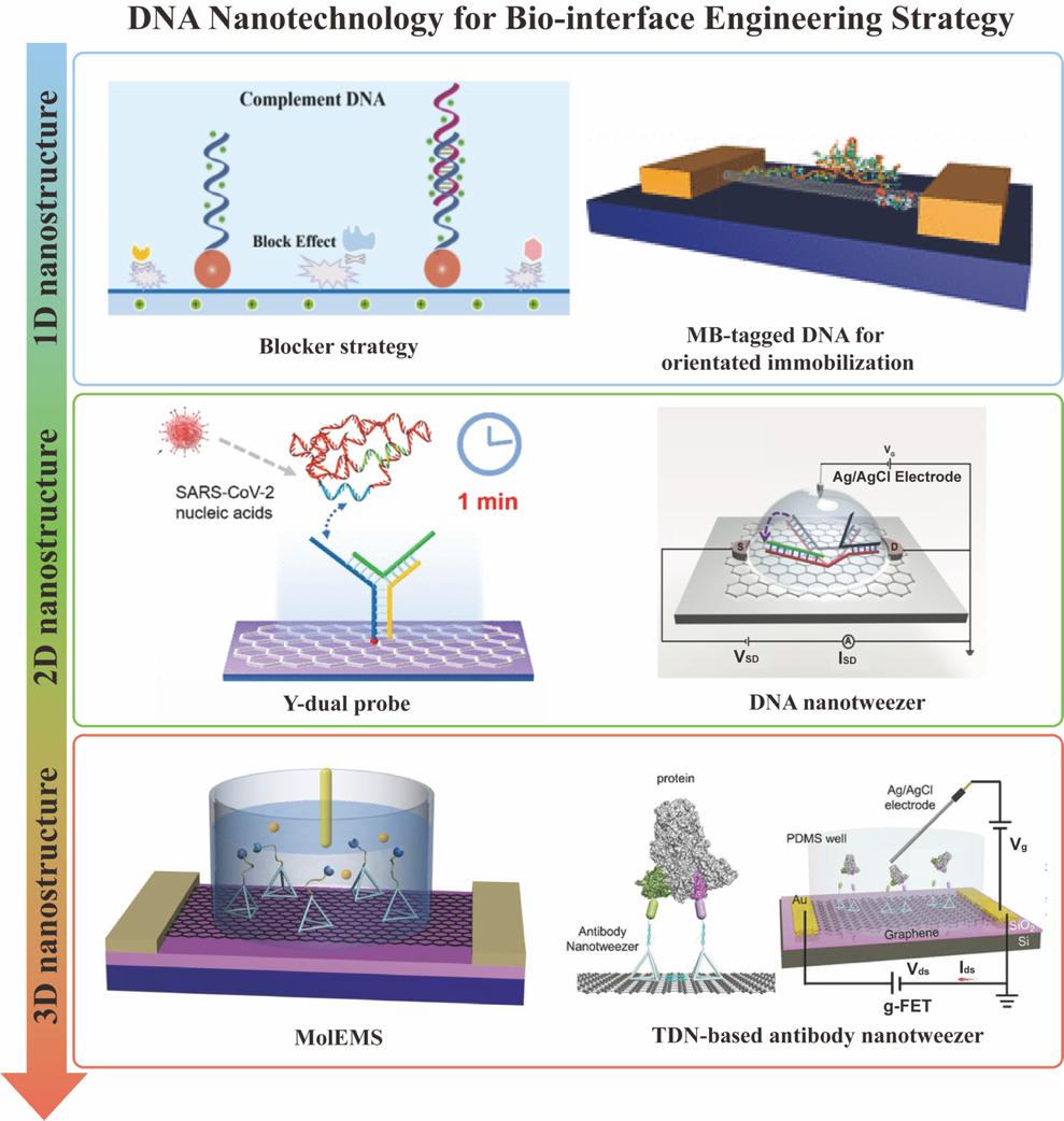 湘潭大学张志勇教授团队在纳米材料领域国际期刊发表论文+2.jpg 湘潭大学张志勇教授团队在纳米材料领域国际期刊发表论文+2.jpg