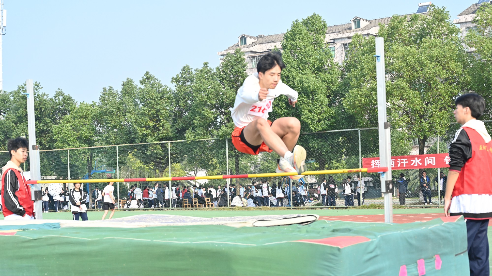 图片4.jpg 图片4.jpg