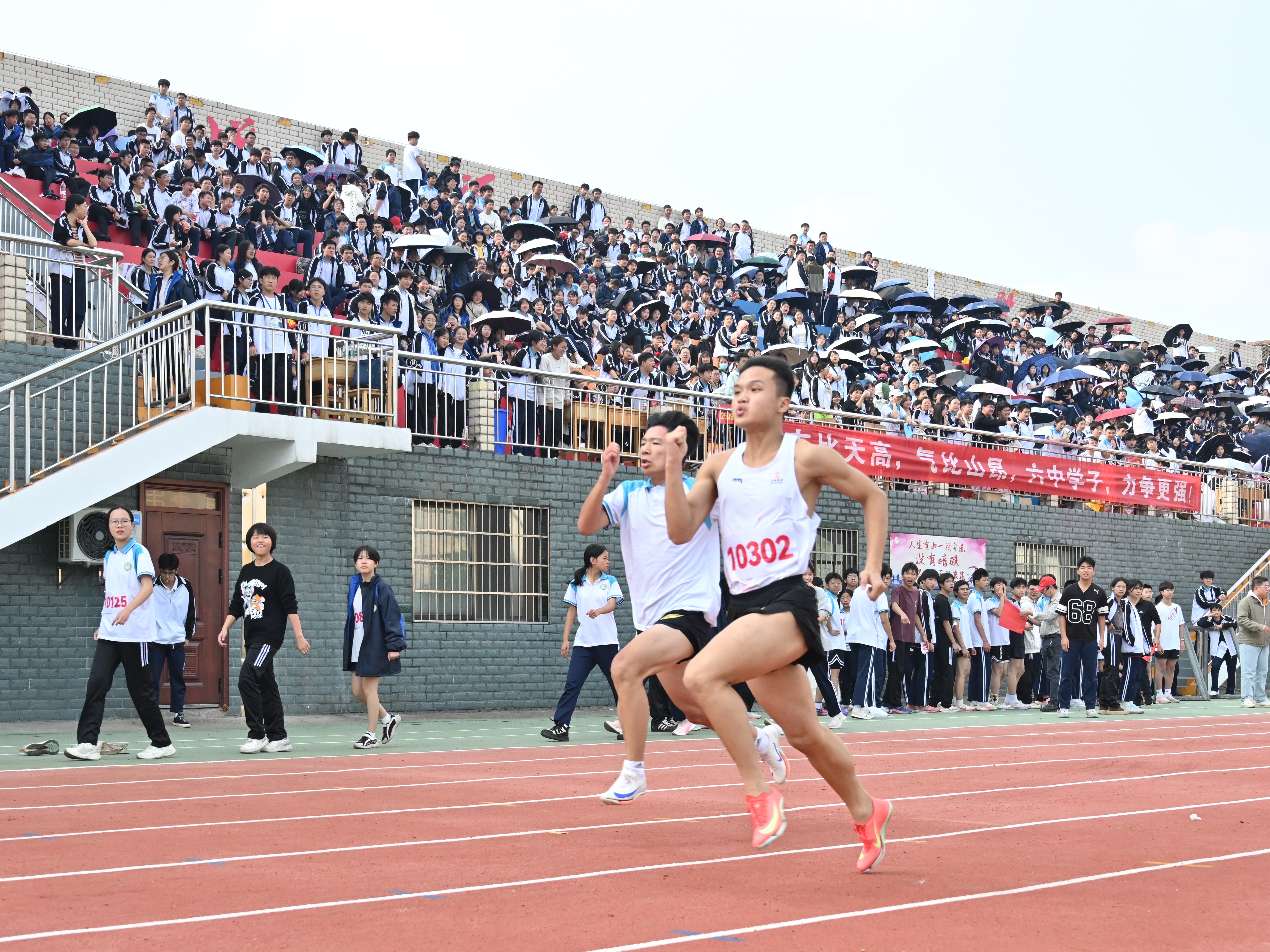 图片3.jpg 图片3.jpg