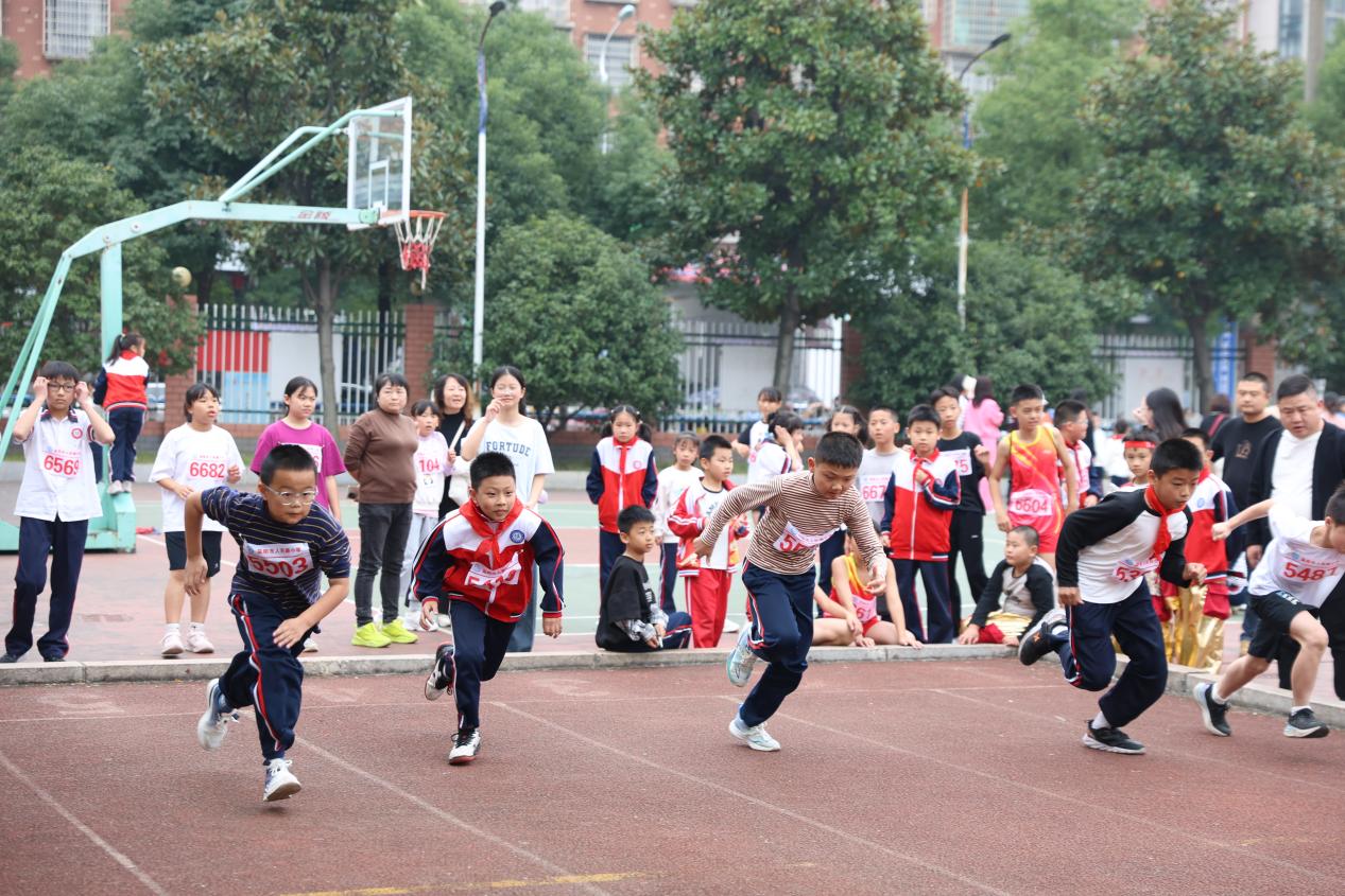 图片5.jpg 图片5.jpg