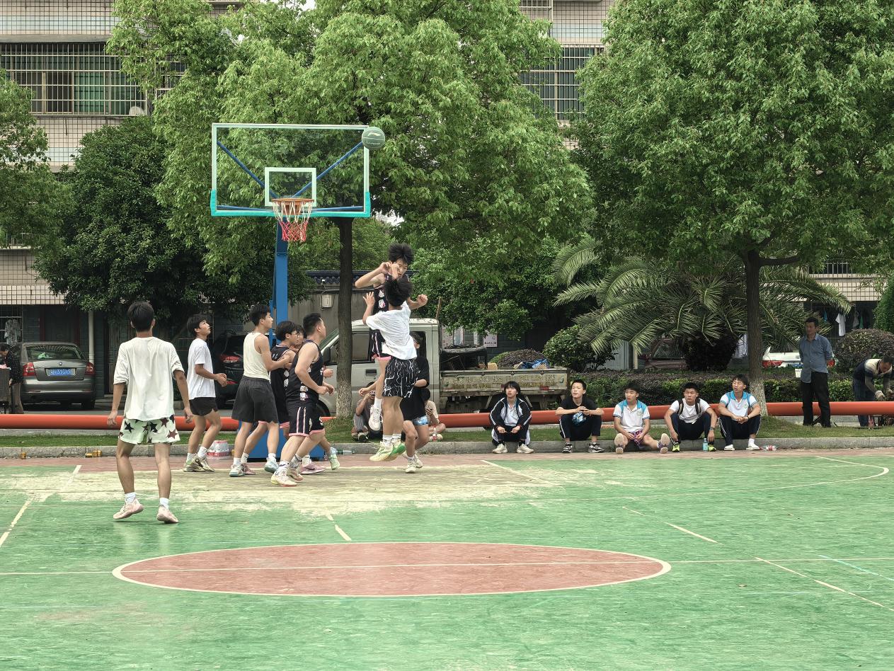 图片12.jpg