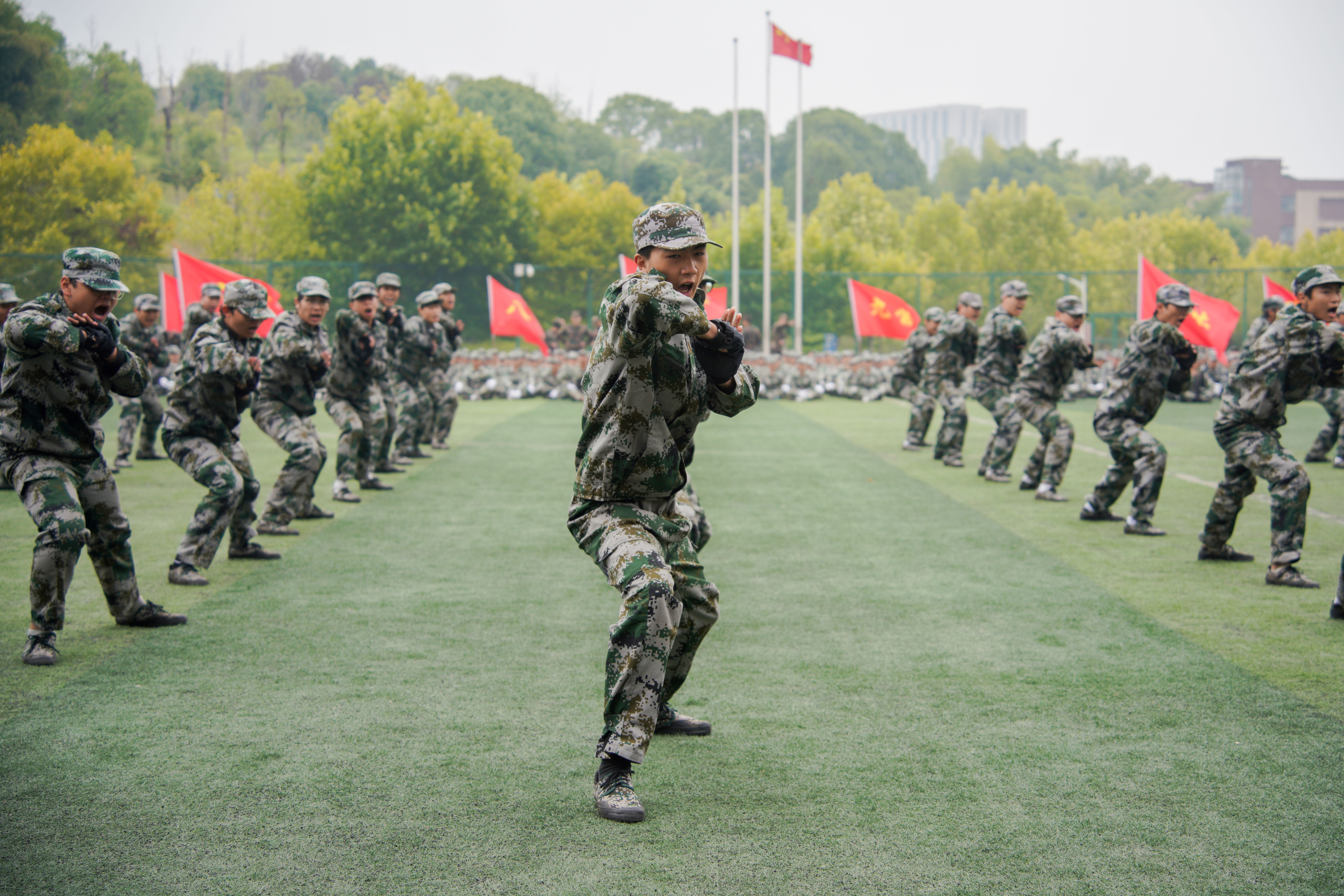 擒敌拳.jpg 擒敌拳.jpg