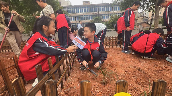 杨柳3.png