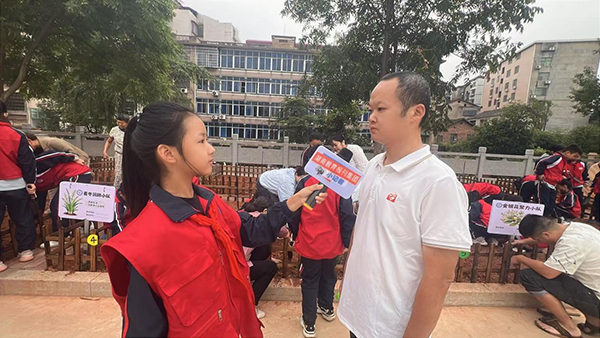 杨柳5.png