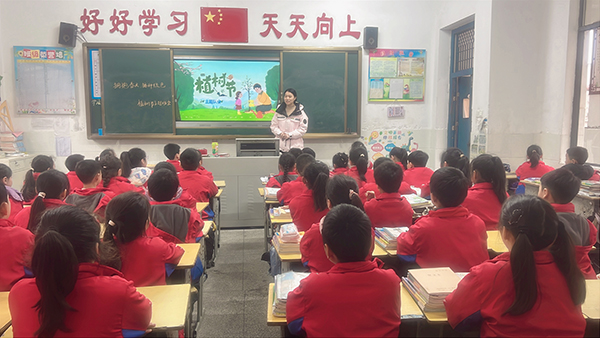 杨柳4.jpg