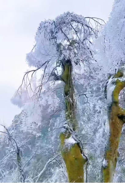 微信图片_20251017152907_71_72.png