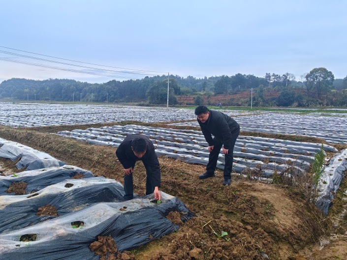 湖南工程职院：赴外取经拓路径 以学促干兴乡村