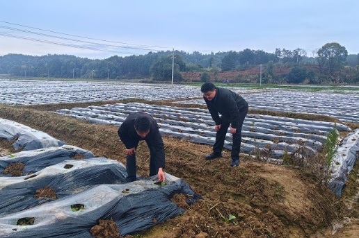 湖南工程职院：赴外取经拓路径 以学促干兴乡村