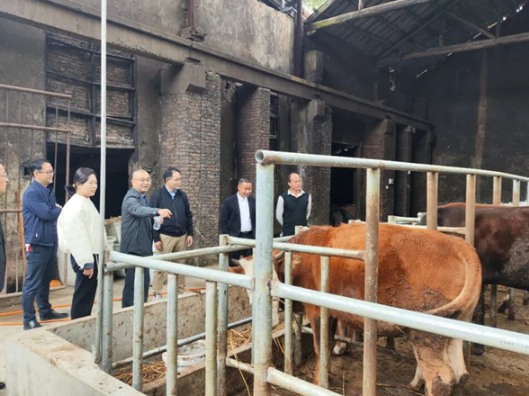 助力乡村振兴，湖南理工职院赴武冈市司马冲社区调研驻村帮扶工作