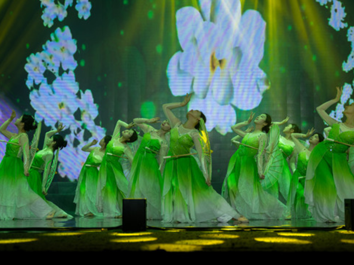 湖南汽车工程职业大学2025年校园文化艺术节展演圆满落幕