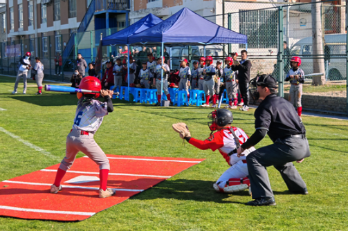 以赛育人显担当，湖南体育职业学院助力海峡两岸校际赛事