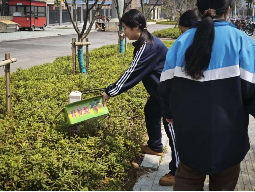 图片5.png 图片5.png