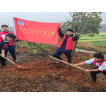 洪江市职业中专学校参加2025年全民义务植树活动