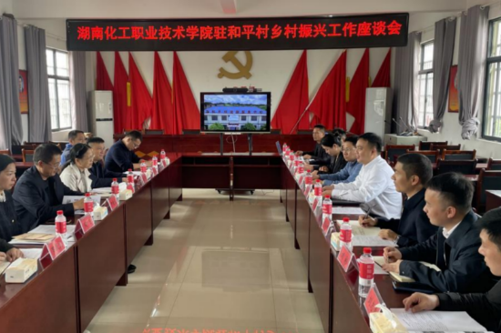 湖南化工职业技术学院校长率队赴双井镇和平村调研乡村振兴工作