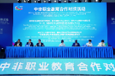 湖南汽车工程职业大学受邀参加中非职业教育合作对接活动