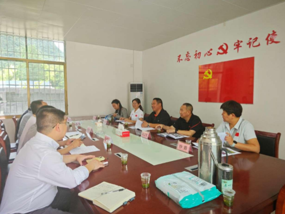 湖南铁道党委副书记彭新宇一行赴鑫山村调研乡村振兴工作