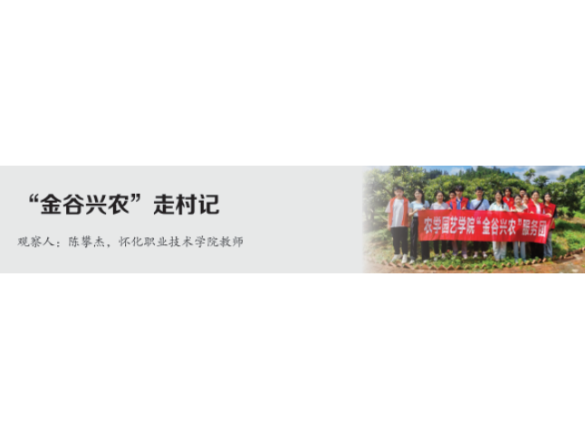 倾听山坳里的回响——职校师生的乡村观察手记