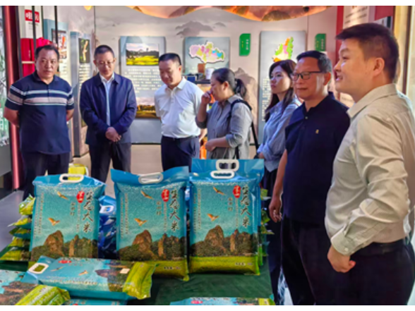 驻点连片聚合力  校地共建促振兴