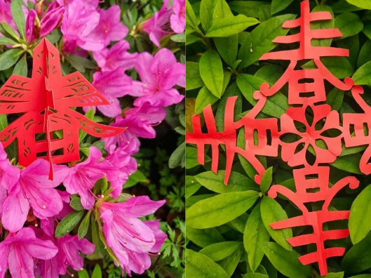 当剪纸遇上春天，长沙商贸旅游职院把思政课“剪”进风景里