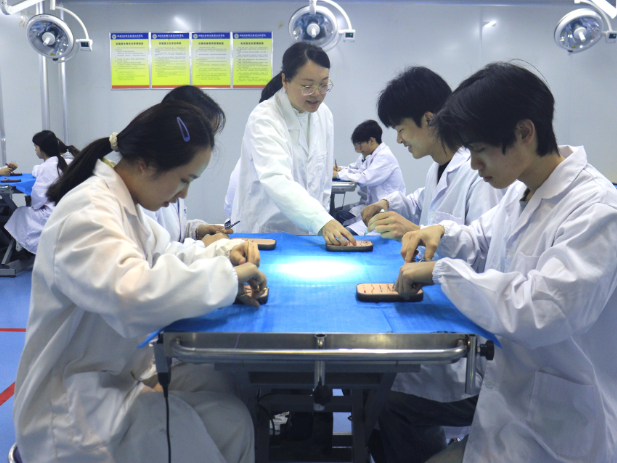 湖南生物机电职业技术学院党委书记毛祥成：深耕农职使命 助力农业强省建设