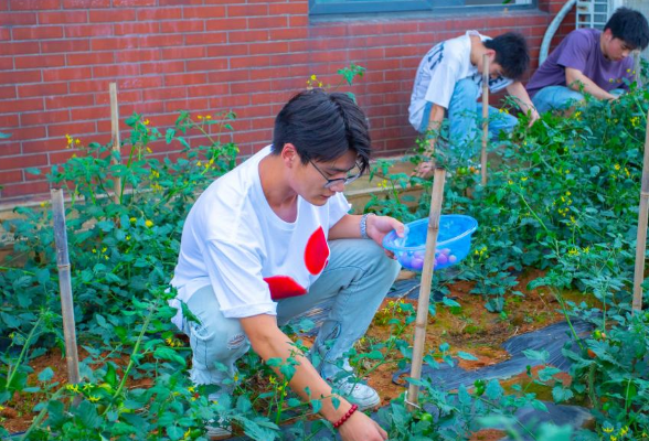 长沙职业技术学院工科生打造浪漫“花果园”