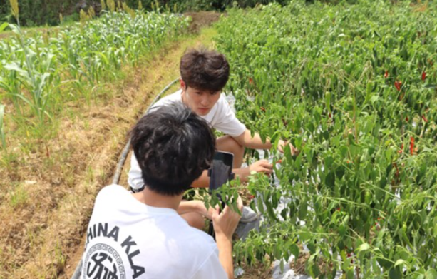 湖南铁科职院暑期“三下乡：青春逐梦乡村 爱心温暖“花朵”