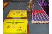 湖南铁道职院教职工乒乓球队在株洲市运会上斩获佳绩