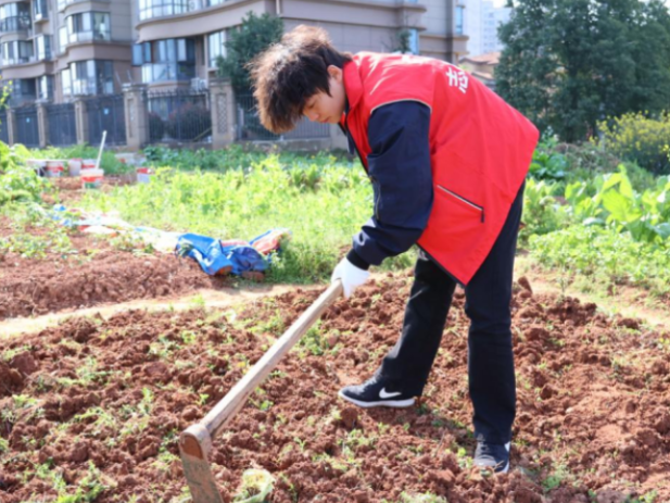 劳动教育润心田  实践育人谱新篇——湖南化工职院化学工程学院开展立德树人实践活动