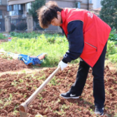 劳动教育润心田  实践育人谱新篇——湖南化工职院化学工程学院开展立德树人实践活动