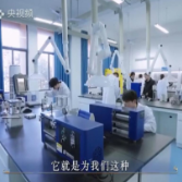 亮相央视！《城市风华录》里的“郴职元素”，藏不住了！