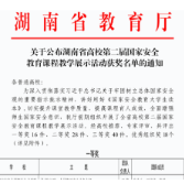 湖南有色金属职院在湖南省高校第二届国家安全教育课程教学展示活动中荣获一等奖