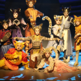 一只宫猫的四百年守望  ——《猫神在故宫》长沙幼师高专专场温暖上演