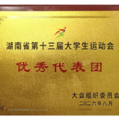 湖南机电职院在湖南省第十三届大学生运动会上获佳绩