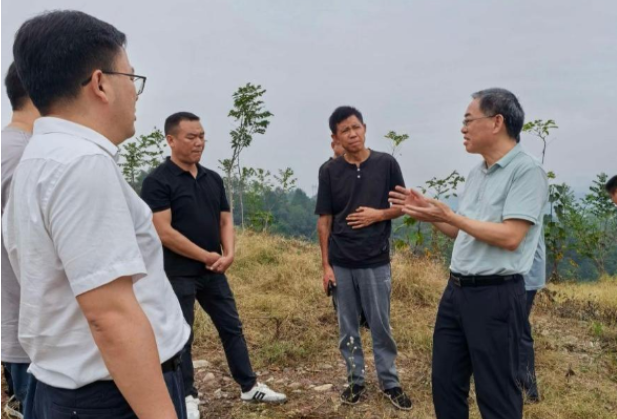 湖南有色金属职院党委书记许国强带队赴王家坪村调研指导乡村振兴帮扶工作