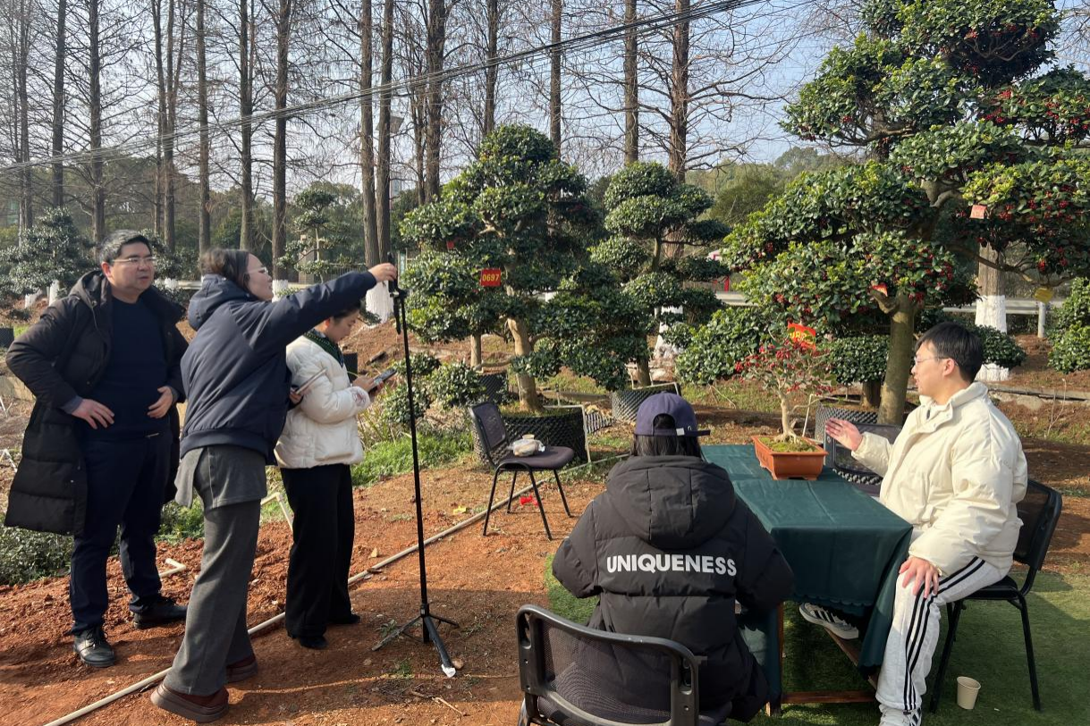 图片1.png 图片1.png