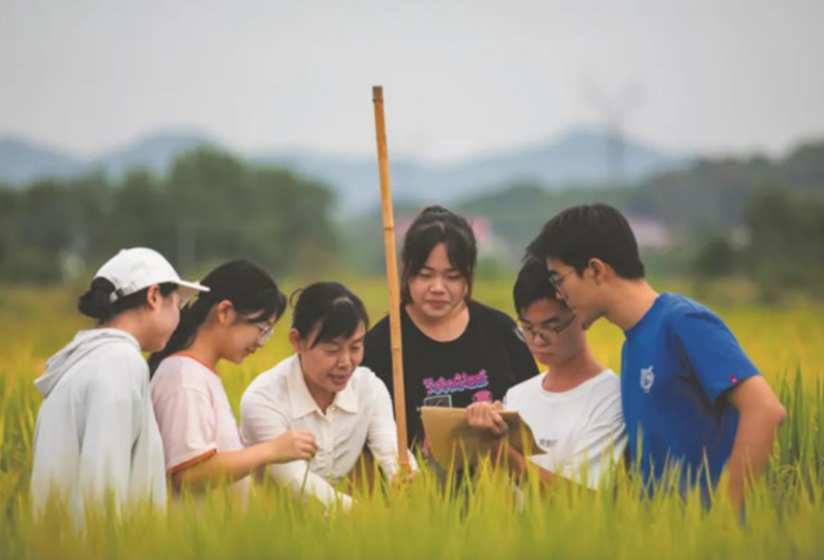 让“山乡巨变”照进现实  ——看湖南职业教育如何全面服务乡村振兴