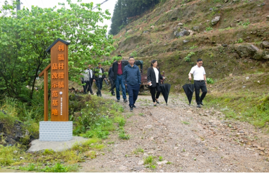 聚力“六福”兴“利福”——湖南工程职院开展第二轮乡村振兴驻村帮扶期满考核