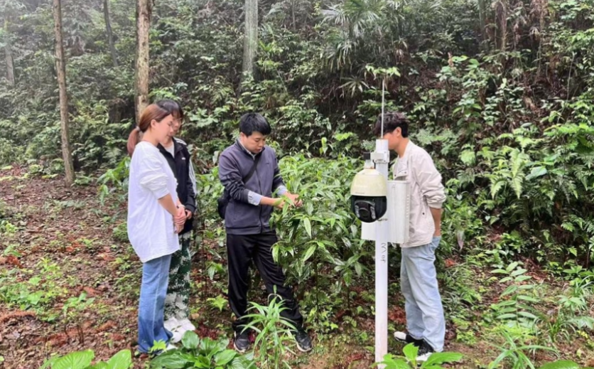 益阳医专：将中药课堂搬到山林，药学生与中草药“奔现”