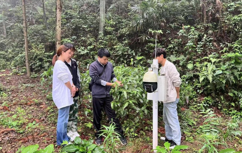 益阳医专：将中药课堂搬到山林，药学生与中草药“奔现”