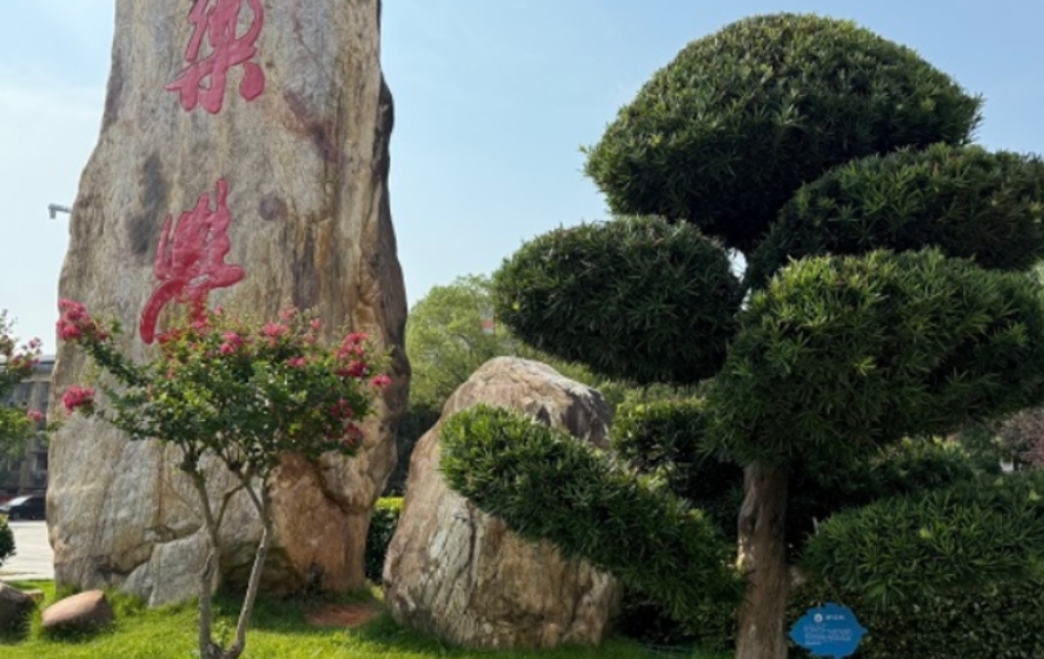 湖南工程职院：‌以树为媒，绘就绿色育人新画卷