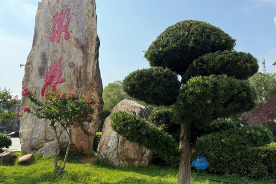 湖南工程职院：‌以树为媒，绘就绿色育人新画卷