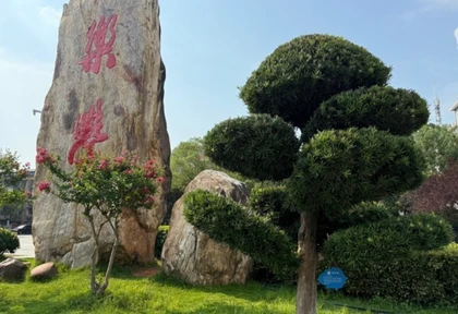 湖南工程职院：‌以树为媒，绘就绿色育人新画卷