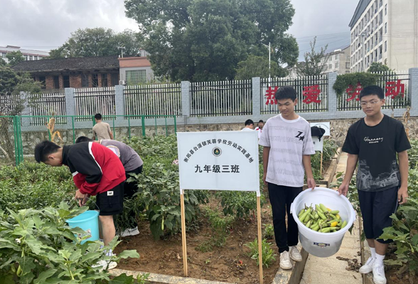 【衡阳县站】台源镇芙蓉学校：春华秋实 秋种冬收