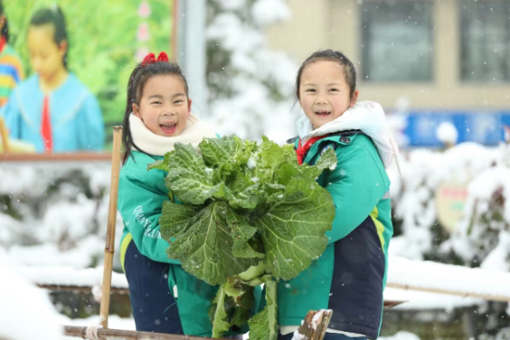 吉首市乾元小学：大雪遇见劳动，瑞雪再兆丰年